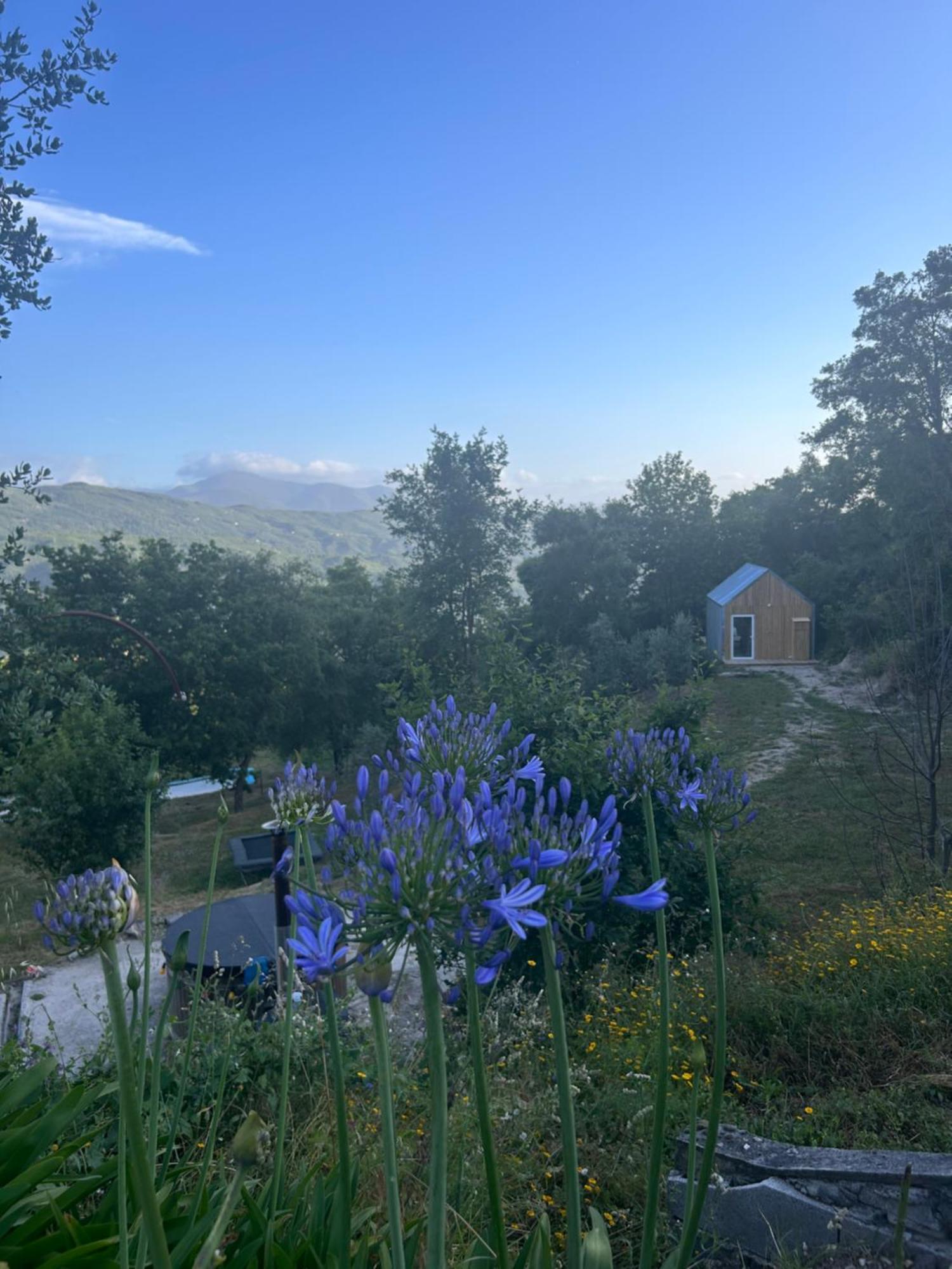 Monkey Tiny Barnhouse With Amazing Views! Villa Folhadosa Dış mekan fotoğraf